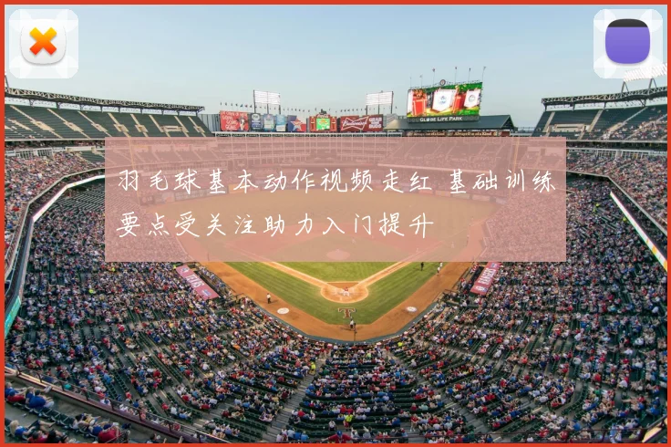 羽毛球基本动作视频走红 基础训练要点受关注助力入门提升