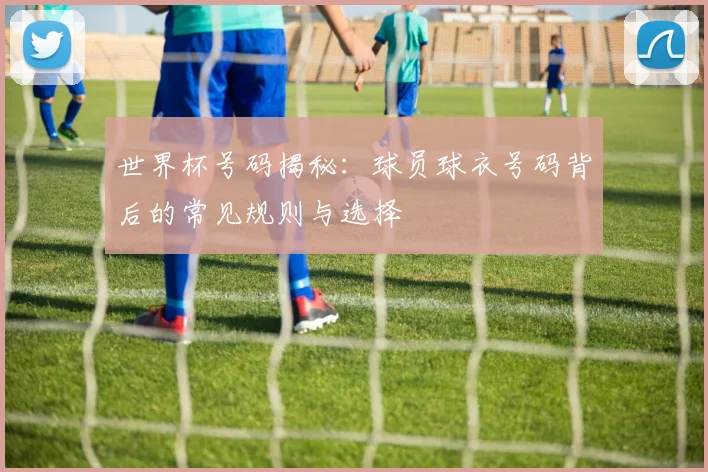 世界杯号码揭秘：球员球衣号码背后的常见规则与选择
