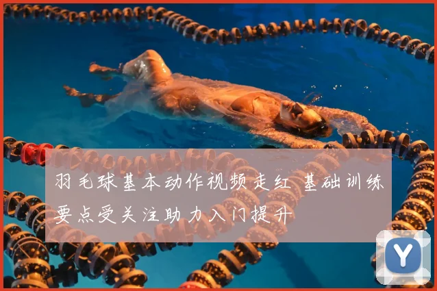 羽毛球基本动作视频走红 基础训练要点受关注助力入门提升