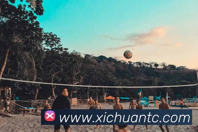 世界杯官网登录app发展历程